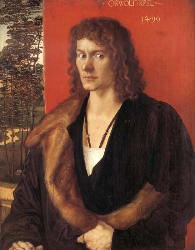 Albrecht Durer Portrait of Oswolt Krel Norge oil painting art